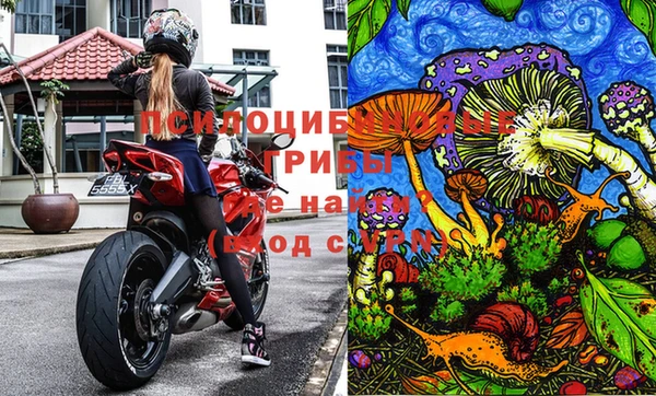 jwh Нефтекумск
