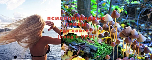 герыч Нея