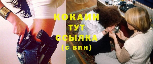 PSILOCYBIN Бежецк